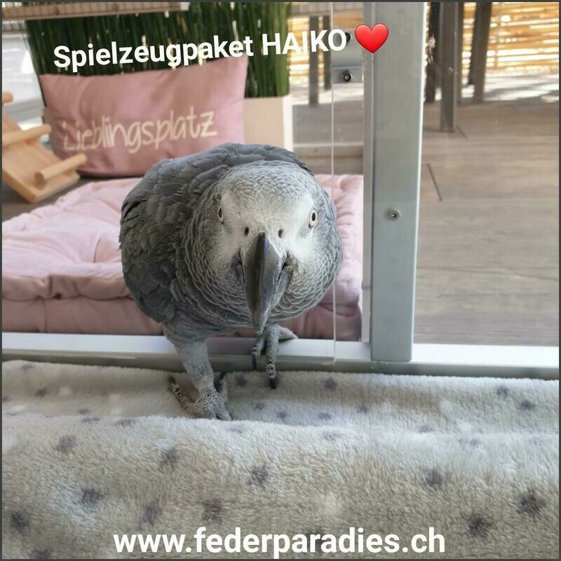 Spielzeugpaket HAIKO