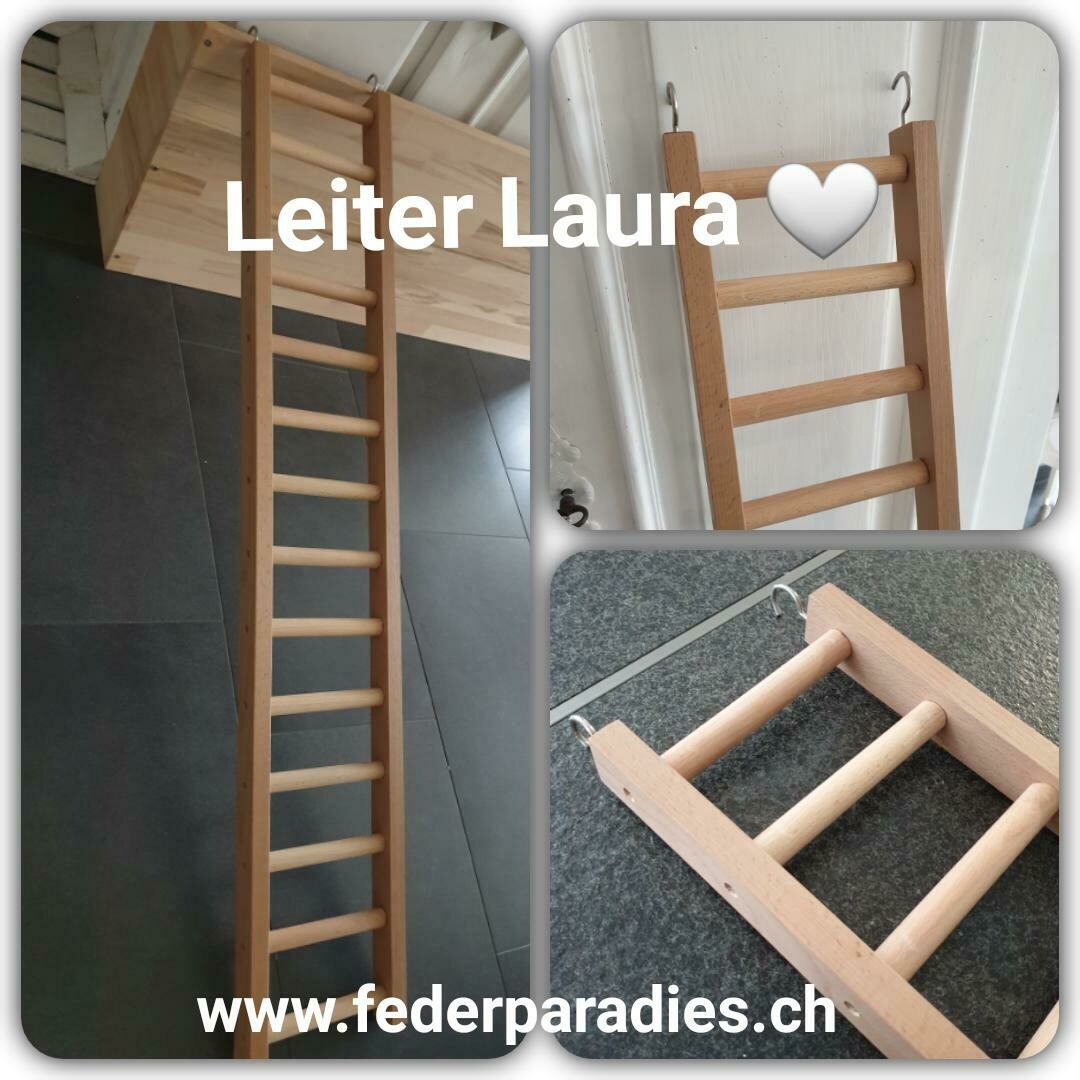 Leiter Laura ab Länge 50 cm