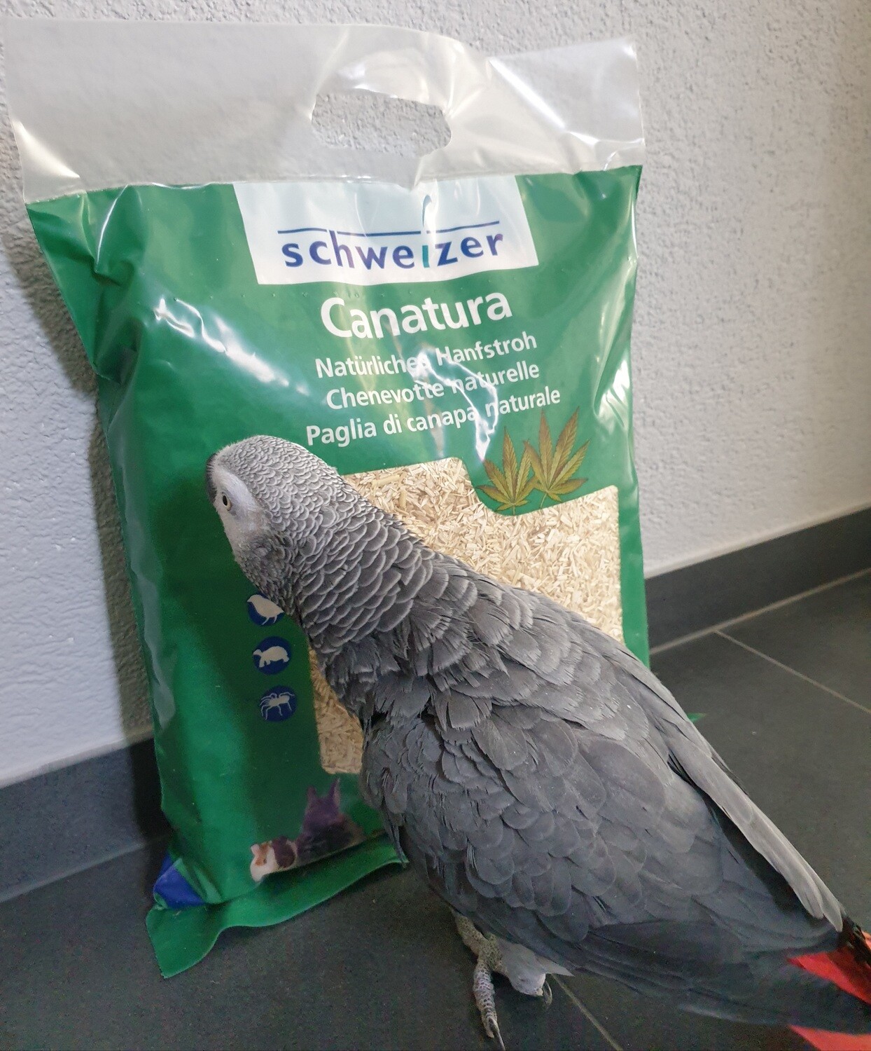 schweizer Hanfstroh Canatura 1 Kilo