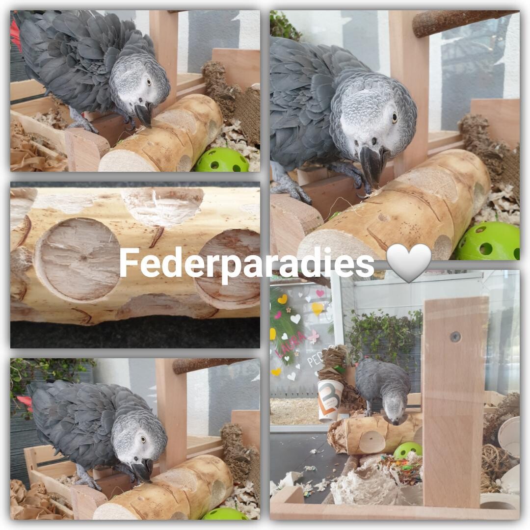 Vogelspielzeug Ole Bird Kabob