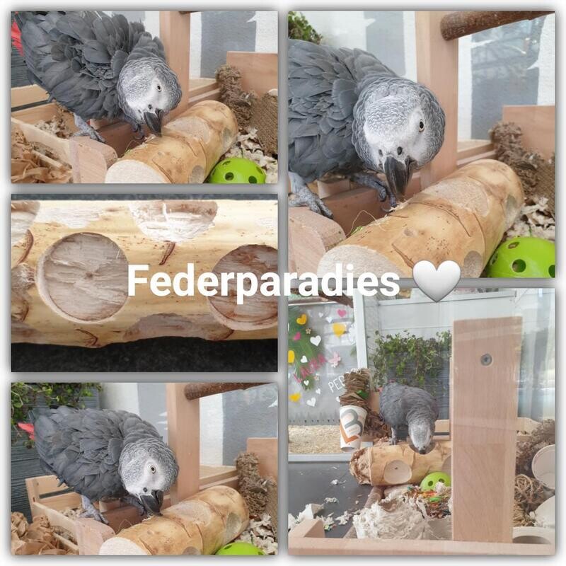 Vogelspielzeug Ole Bird Kabob