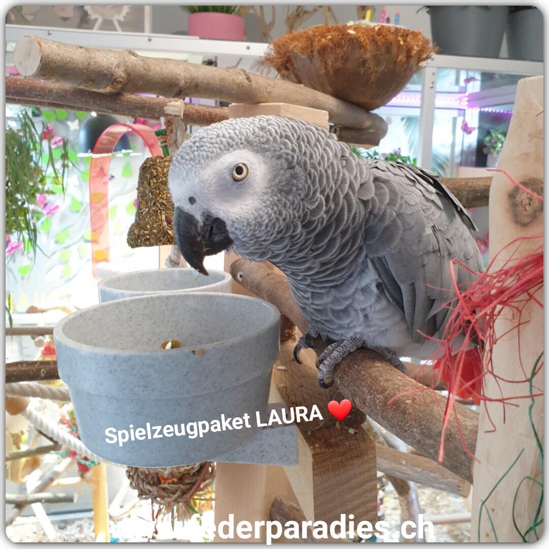 Spielzeugpaket LAURA