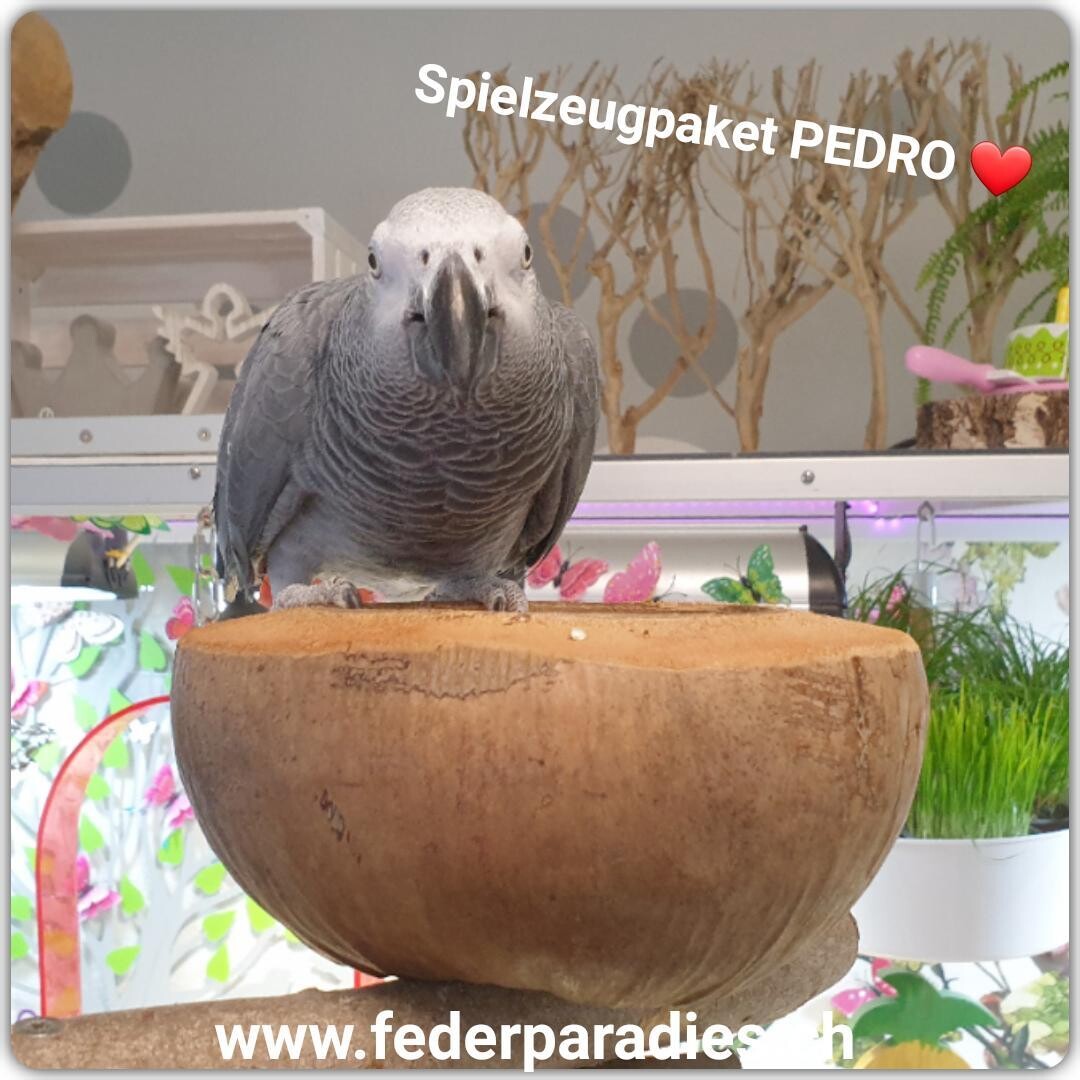 Spielzeugpaket PEDRO