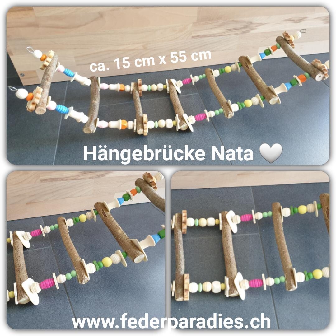 Hängebrücke Nata