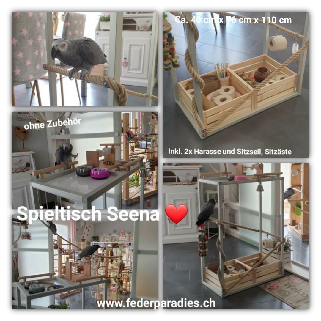 Spieltisch SEENA