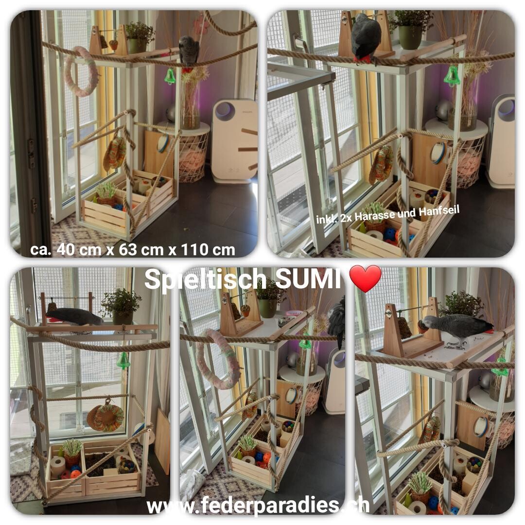 Spieltisch SUMI