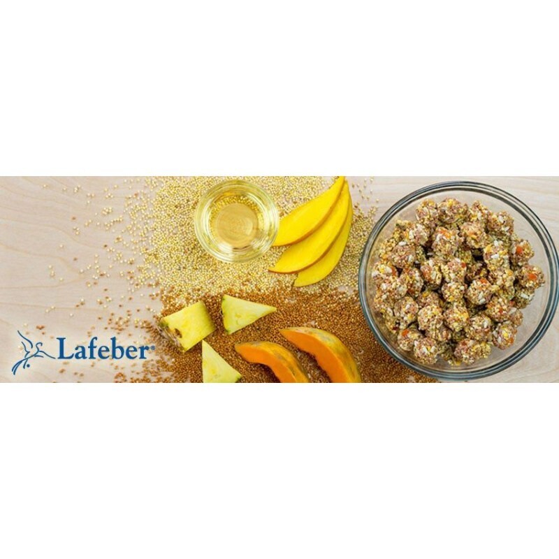 Lafeber Nutri Berries Tropical Fruit 284 gramm
