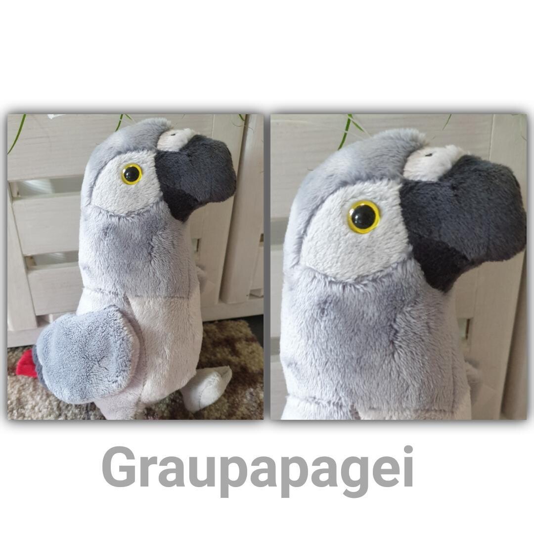 Kuschel GRAUPAPAGEI