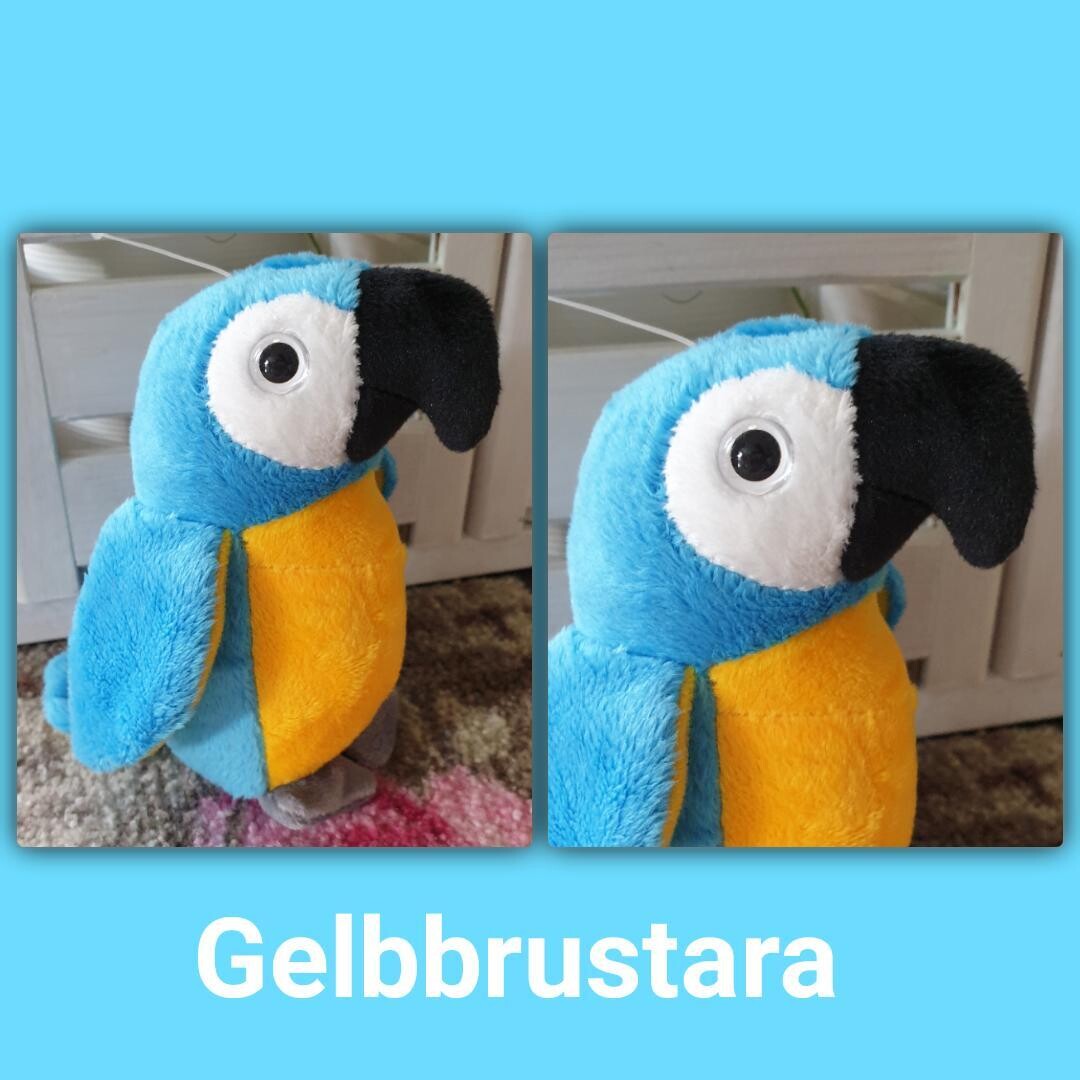 Kuschel Gelbbrustara
