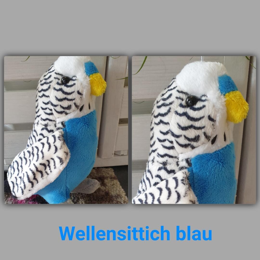 Kuschel Wellensittich blau