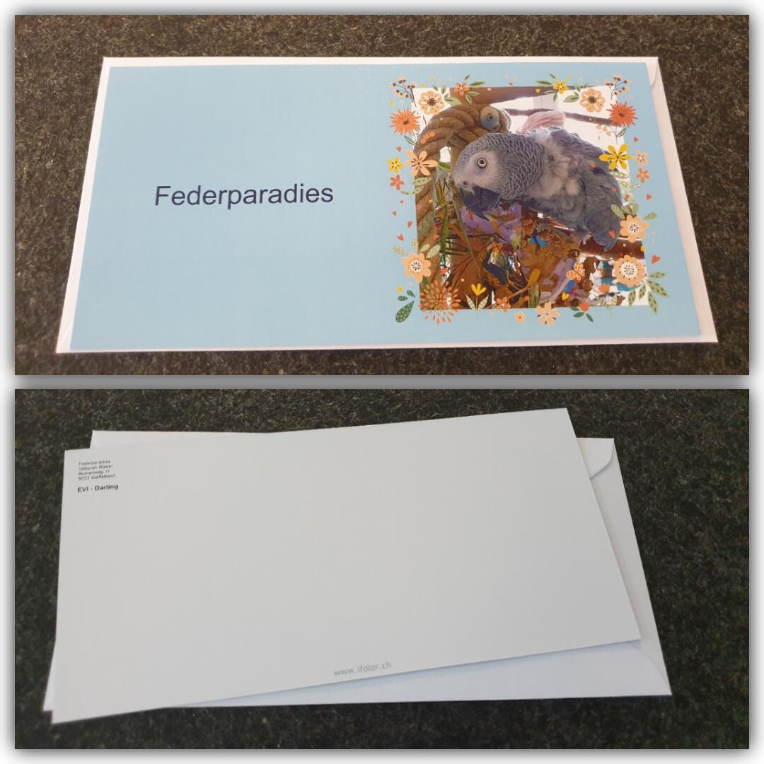Federparadies Grusskarte "EVI-Darling"
