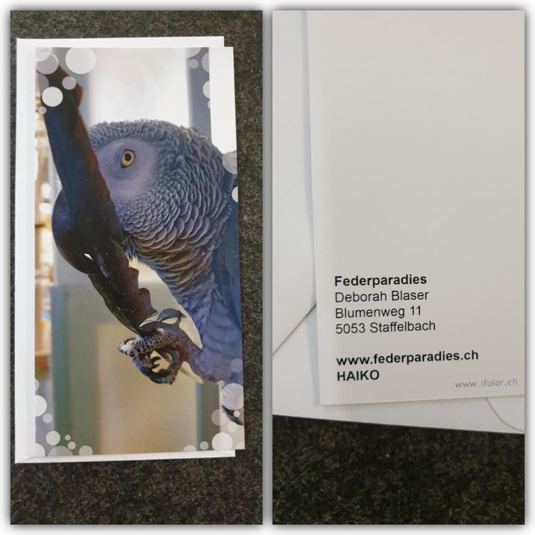 Federparadies Grusskarte "HAIKO"
