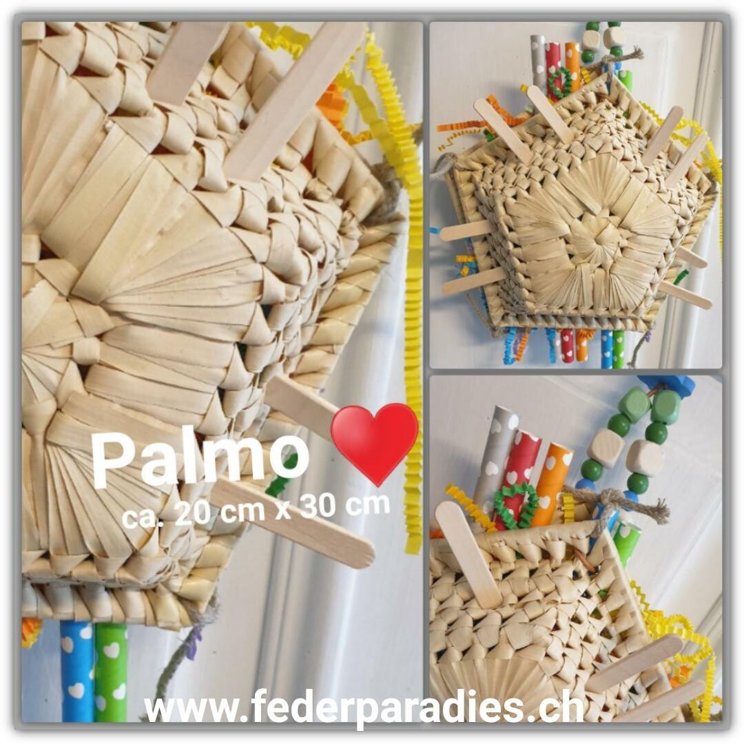 Palmo