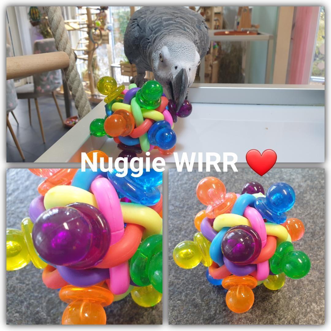 NUGGIE WIRR