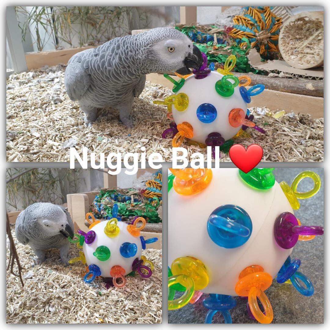 NUGGIE BALL