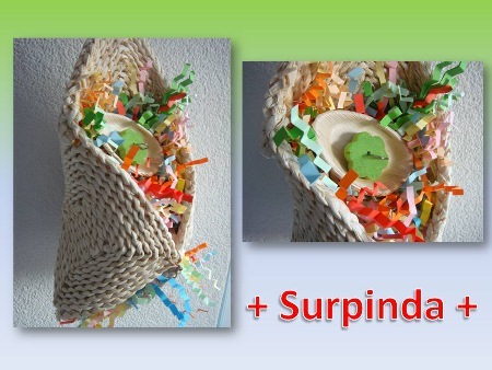 SURPINDA