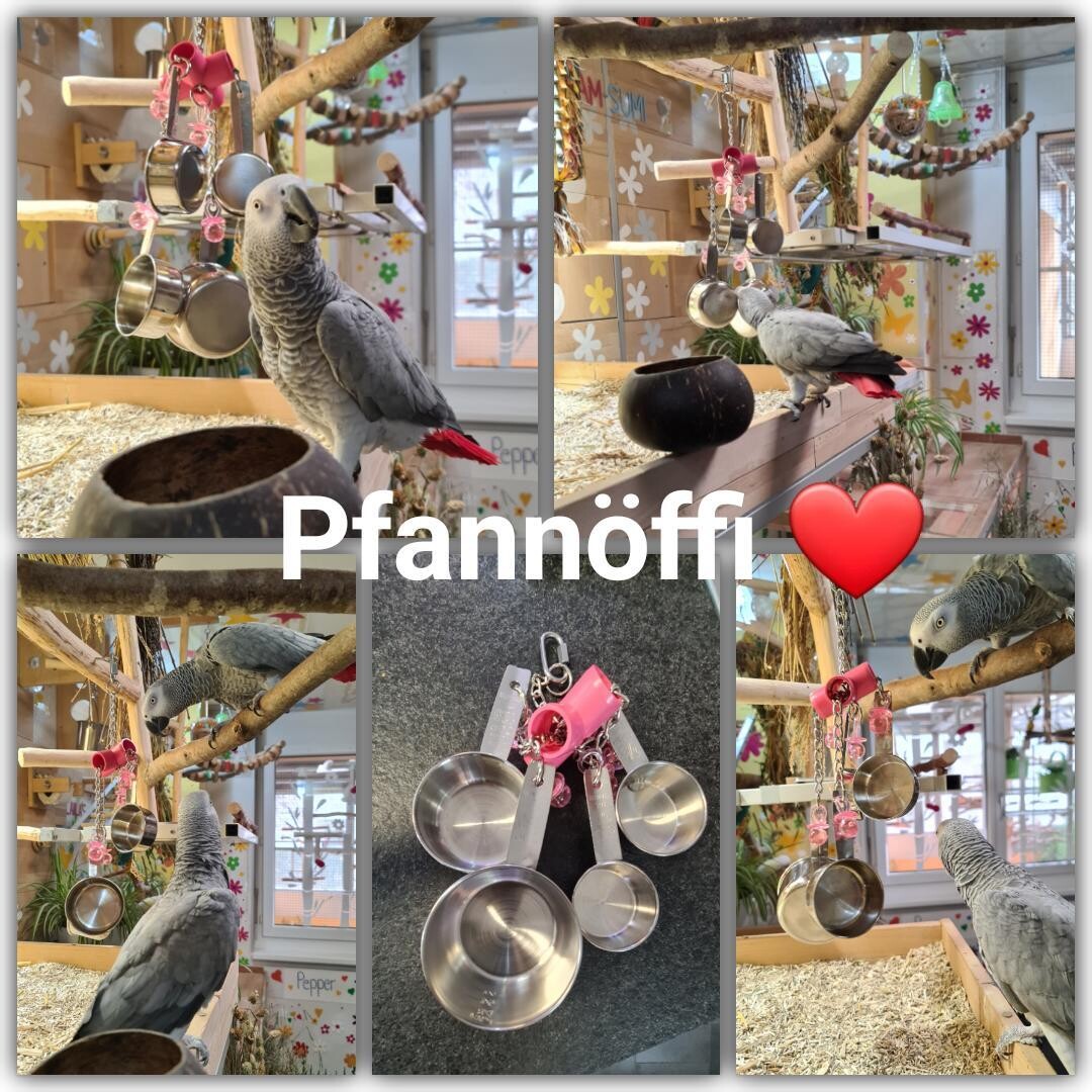 Pfannöffi