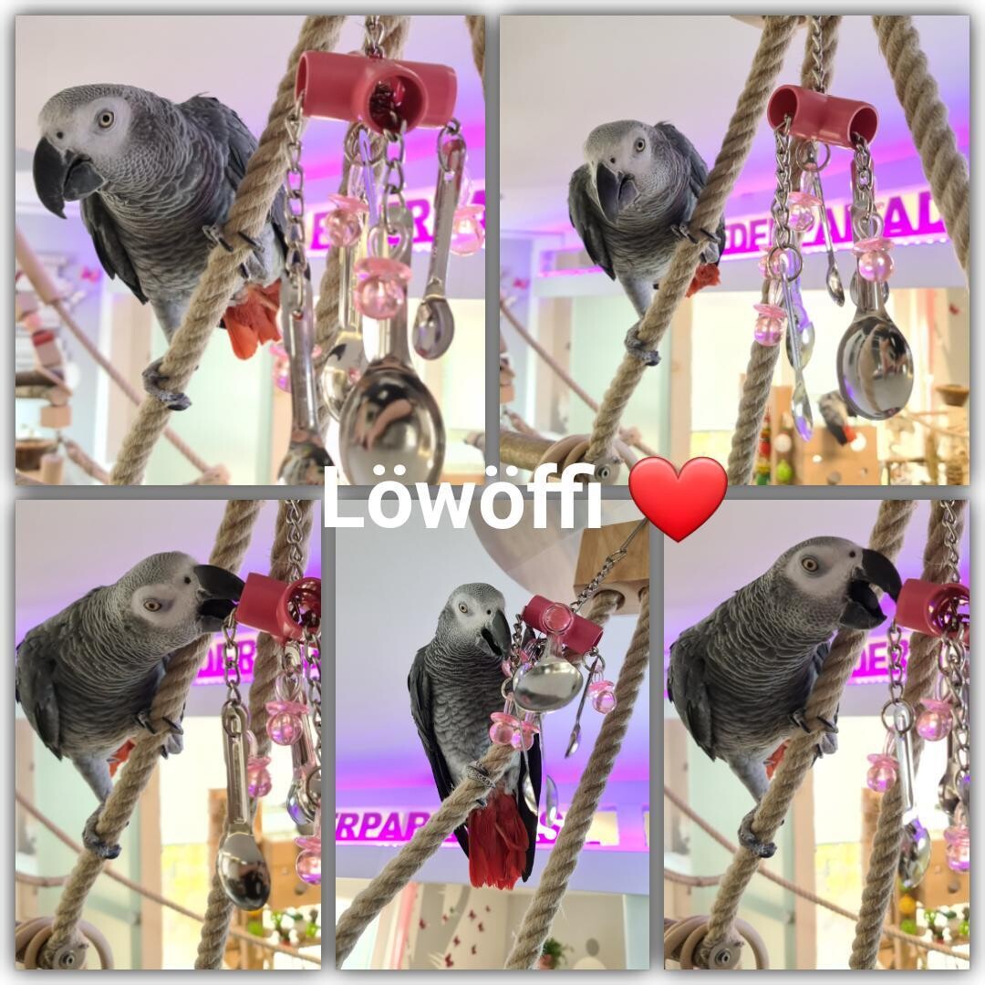 Löwöffi