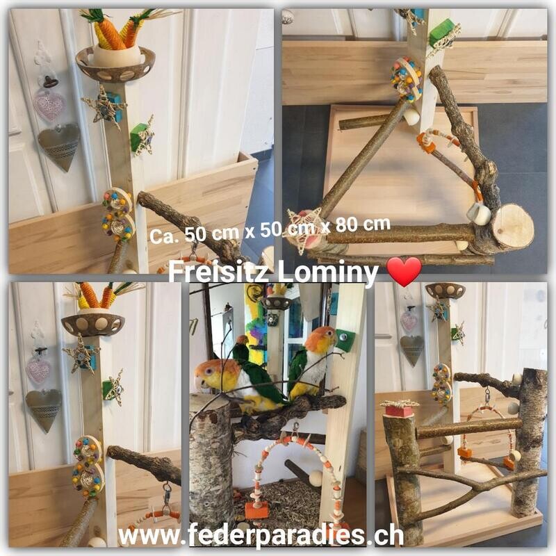 Freisitz Lominy