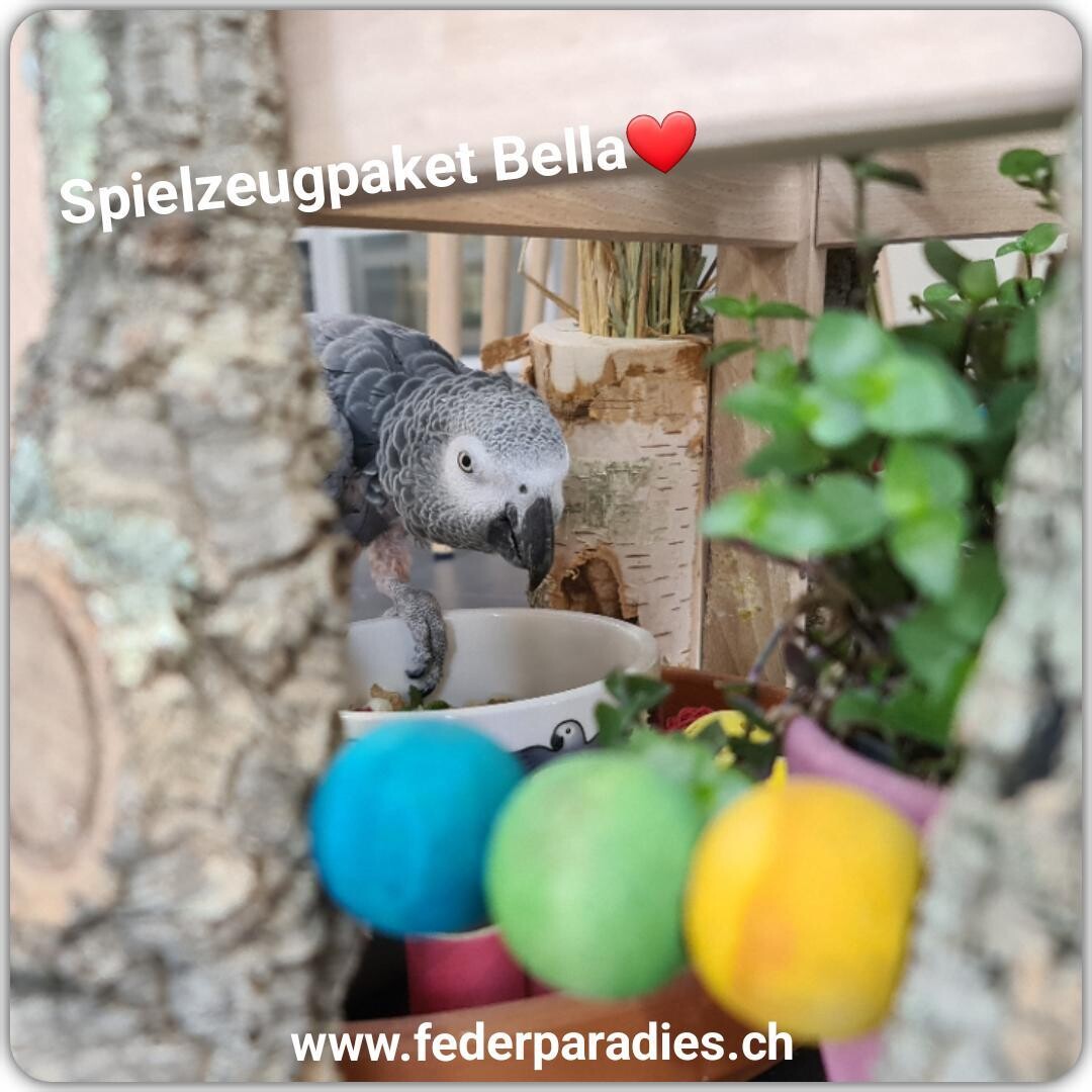 Spielzeugpaket BELLA