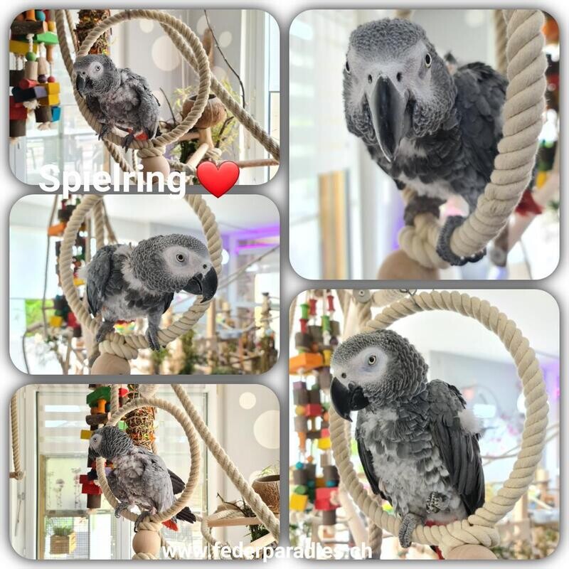 Spielring 24 cm