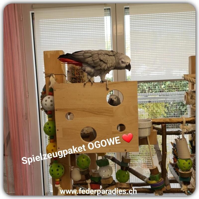 Spielzeugpaket Ogowe