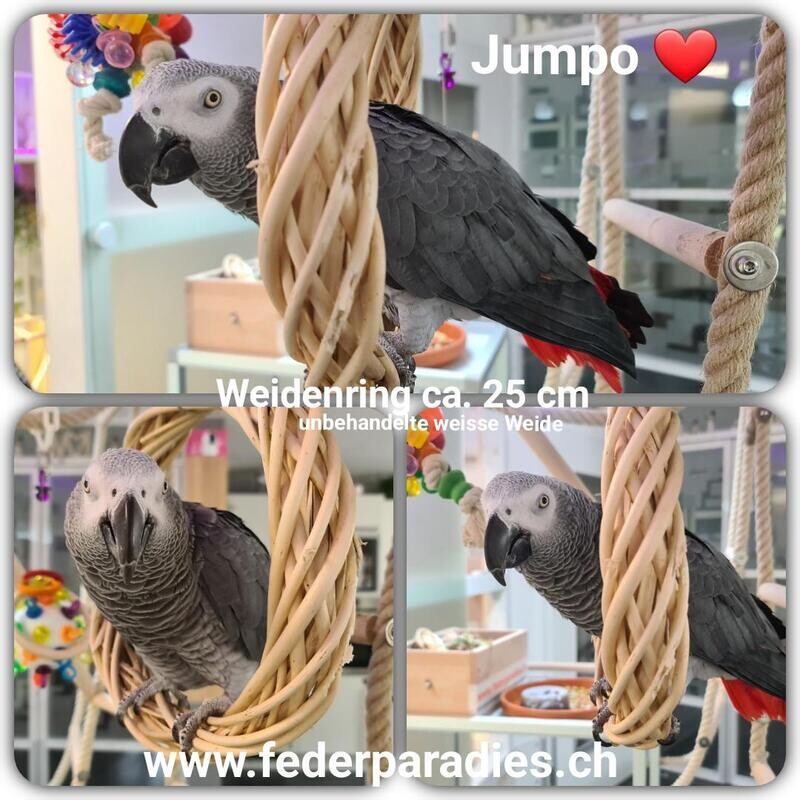 Jumpo