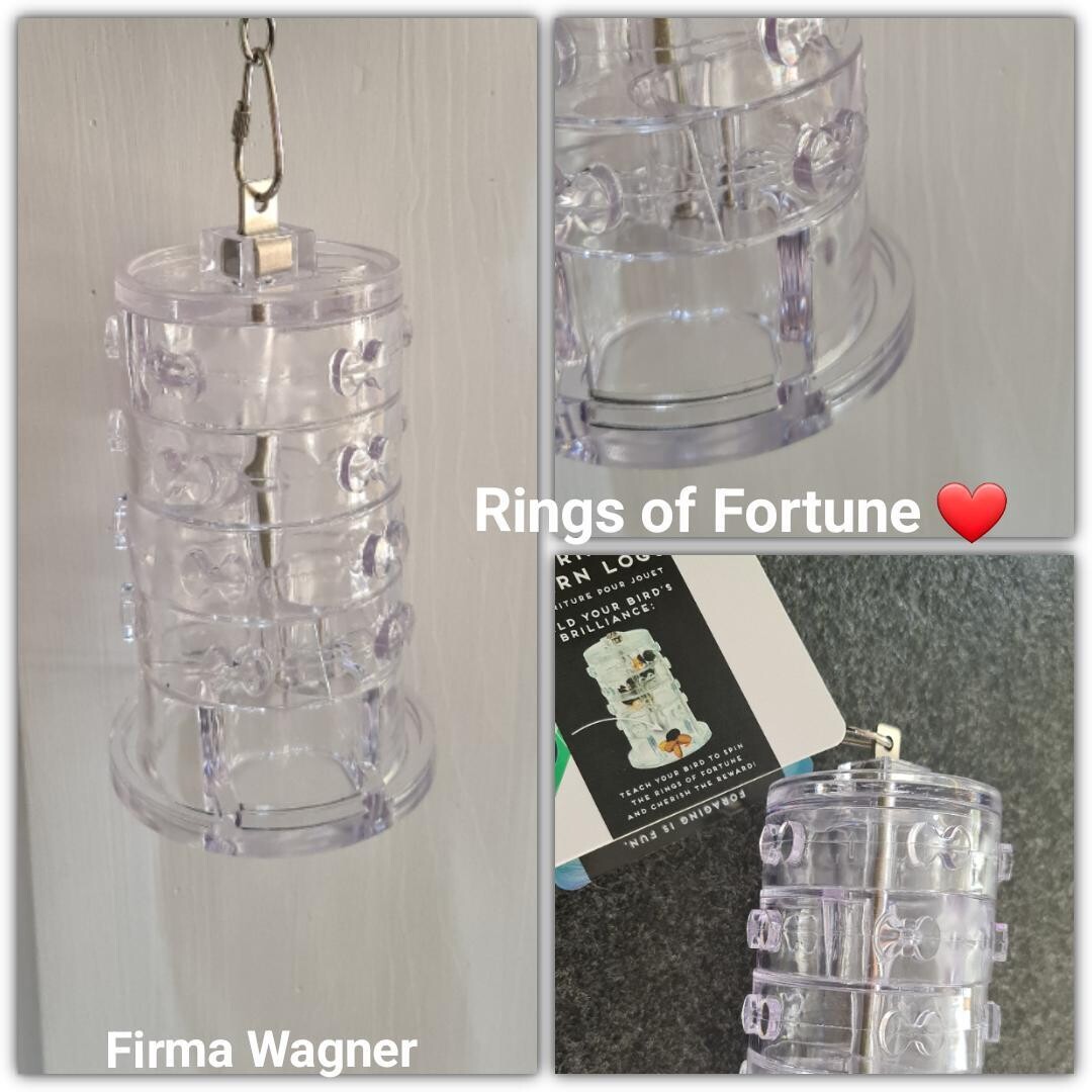 Versteck-Spielzeug "Rings of Fortune"