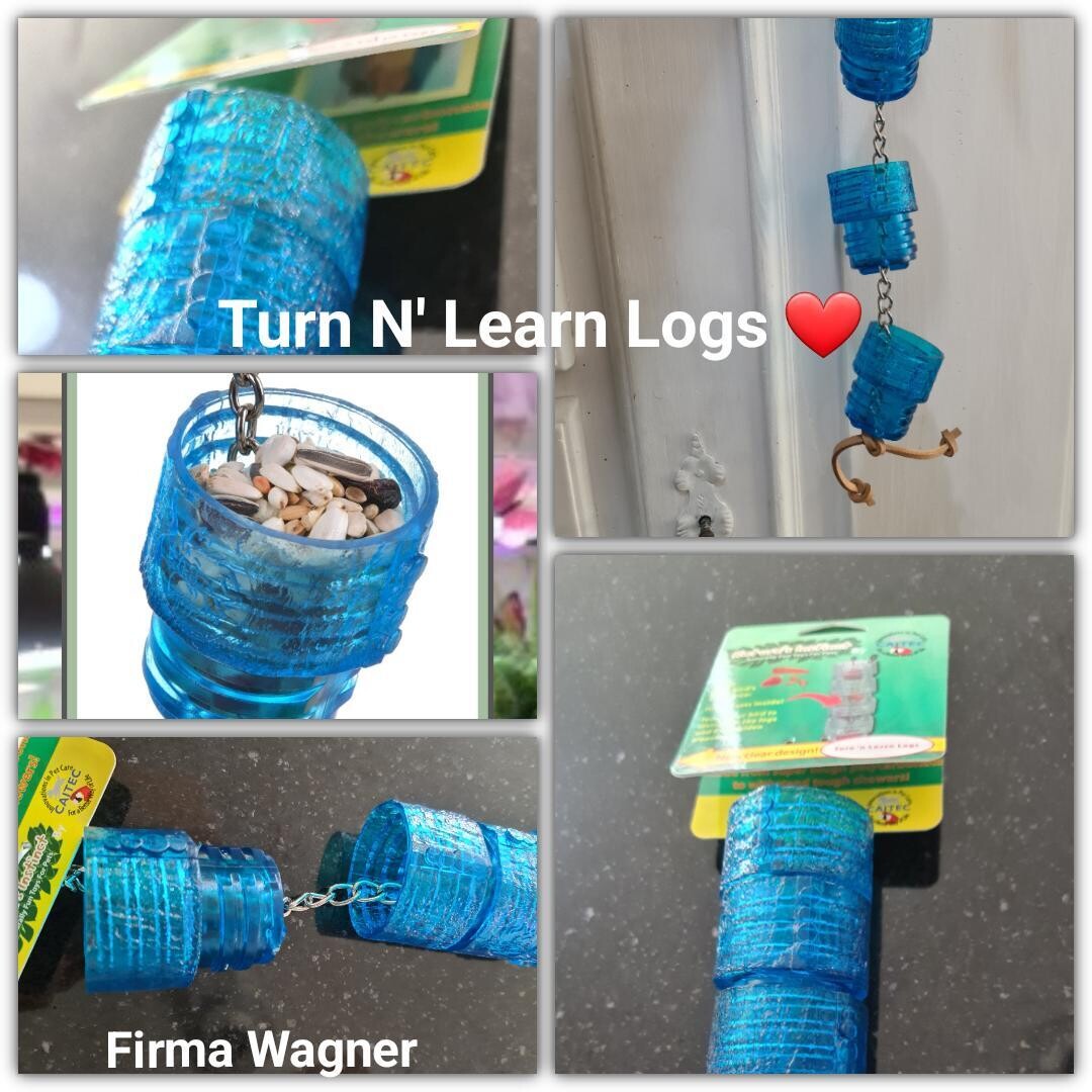 Versteck-Spielzeug "Turn N' Learn Logs"
