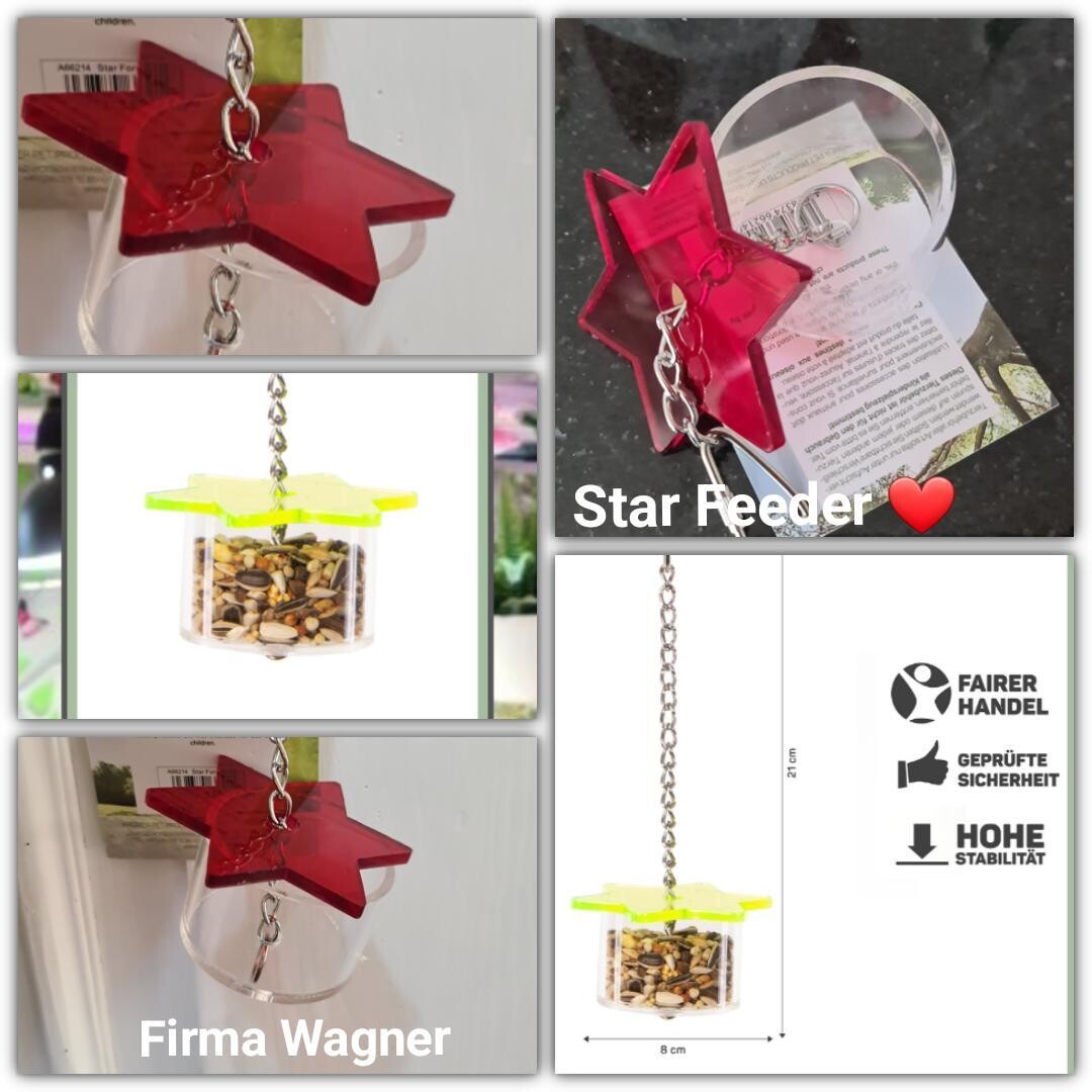 Foraging Star Feeder