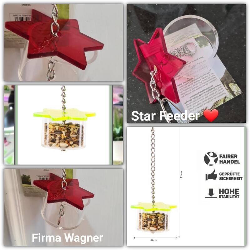 Foraging Star Feeder