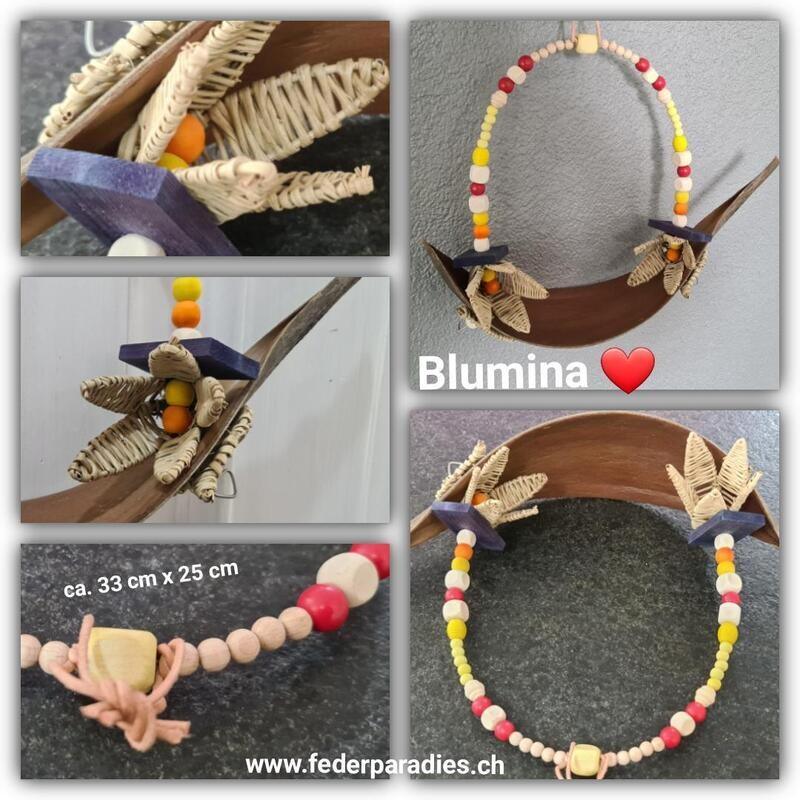 Blumina