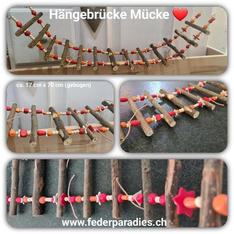 Hängebrücke Mücke