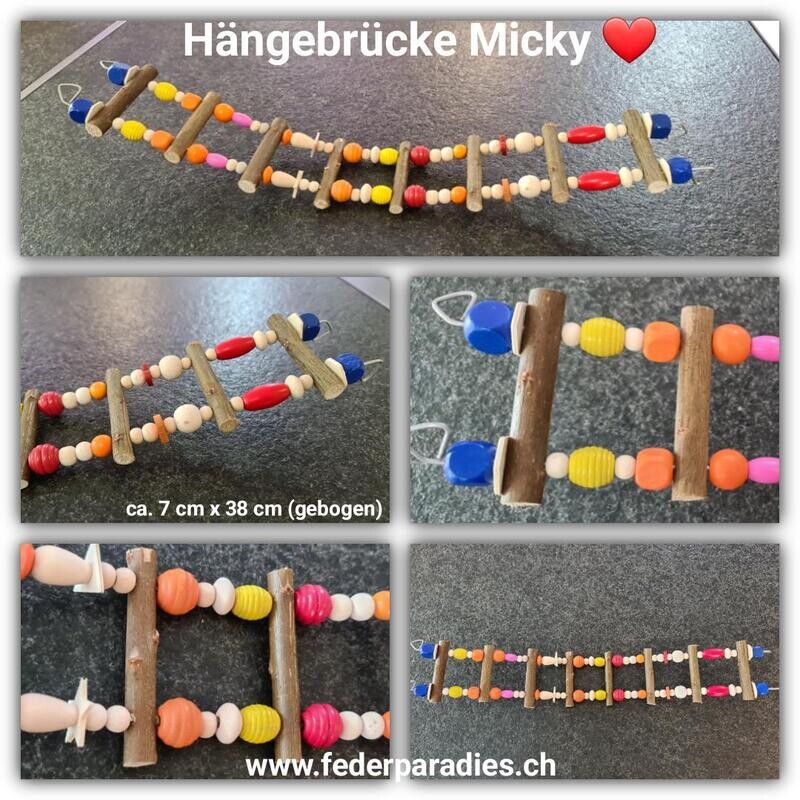 Hängebrücke Micky