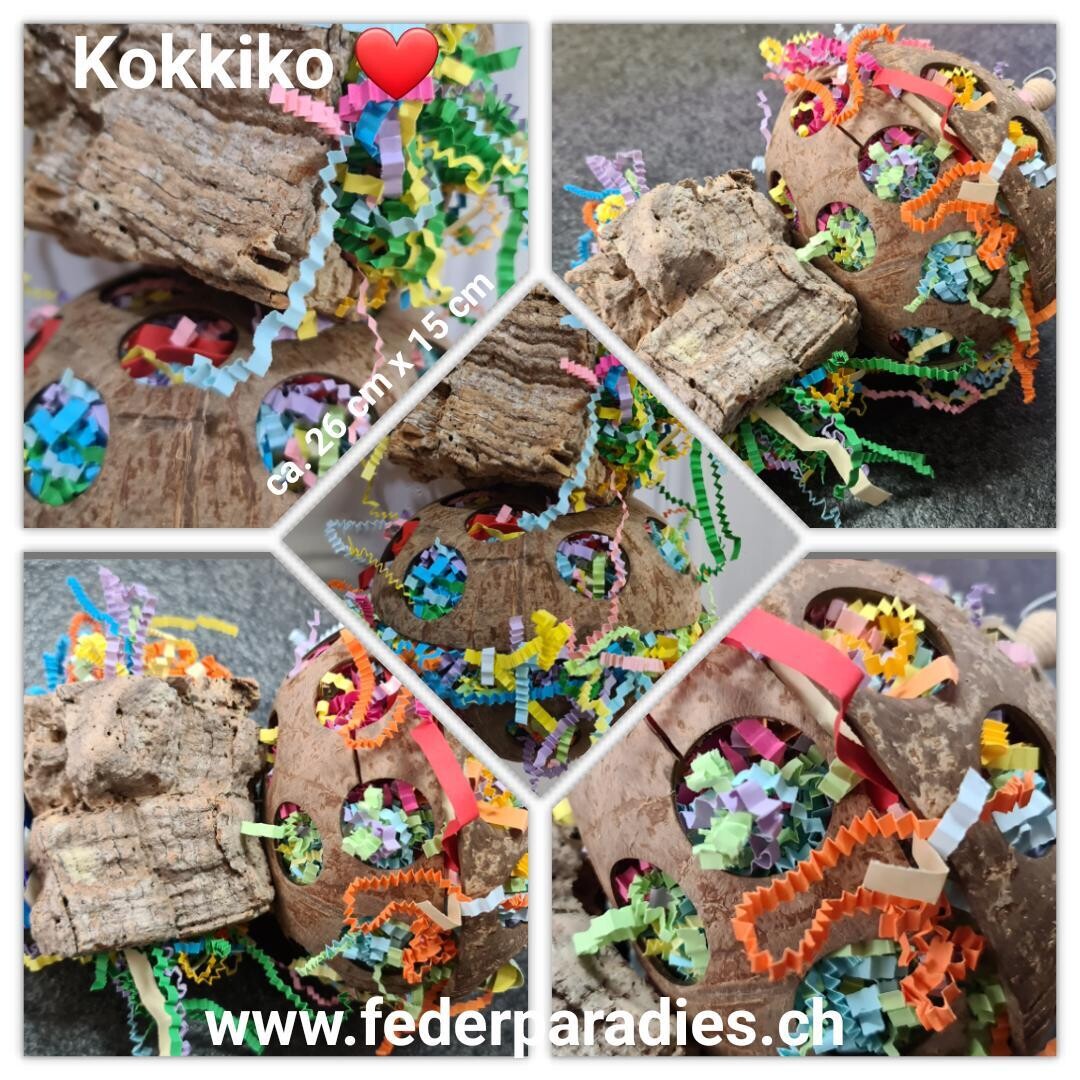 Kokkiko