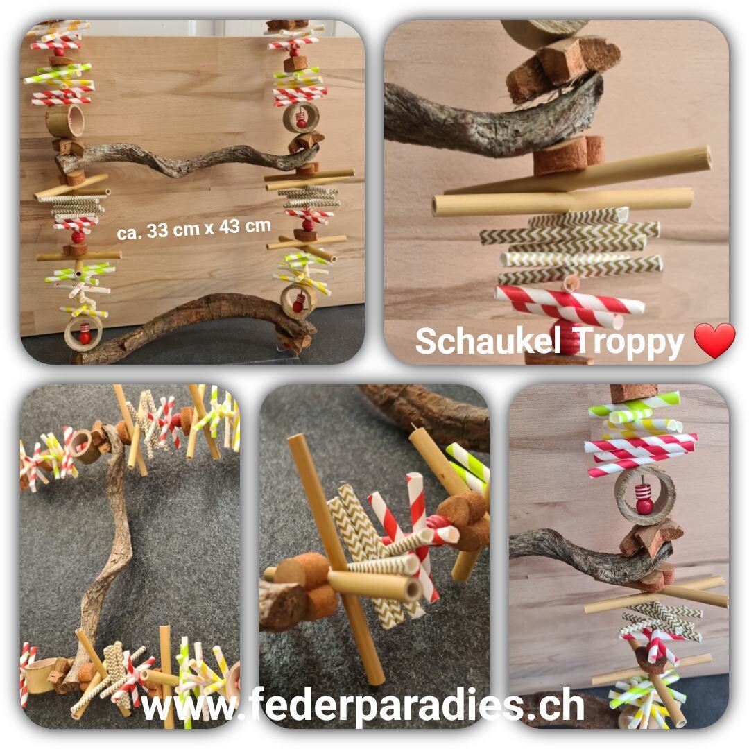 Schaukel Troppy