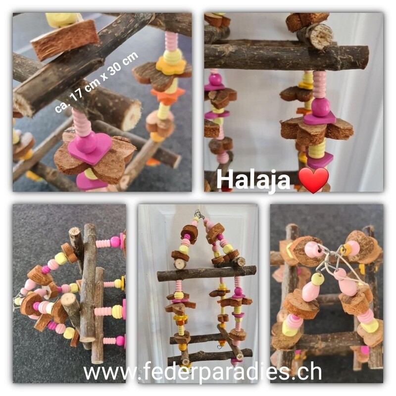 Halaja
