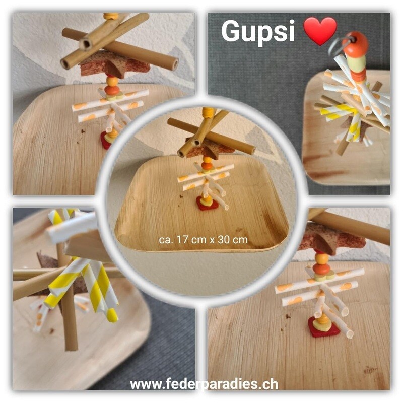 Gupsi