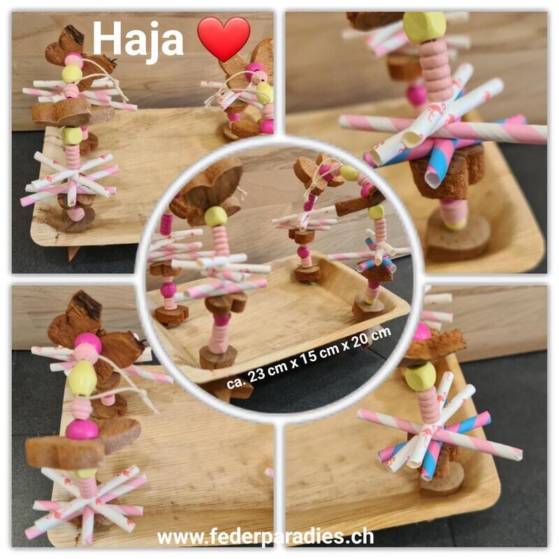 Haja