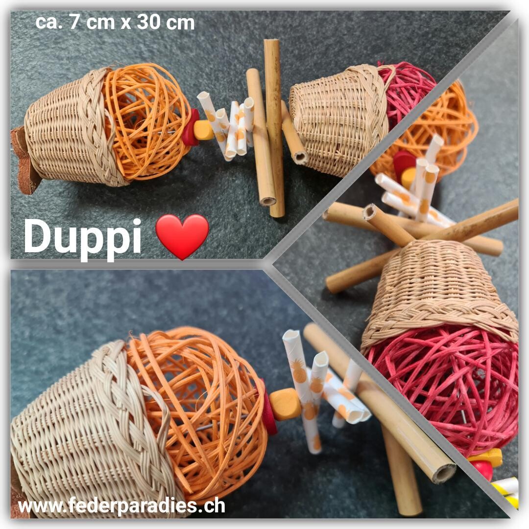 Duppi