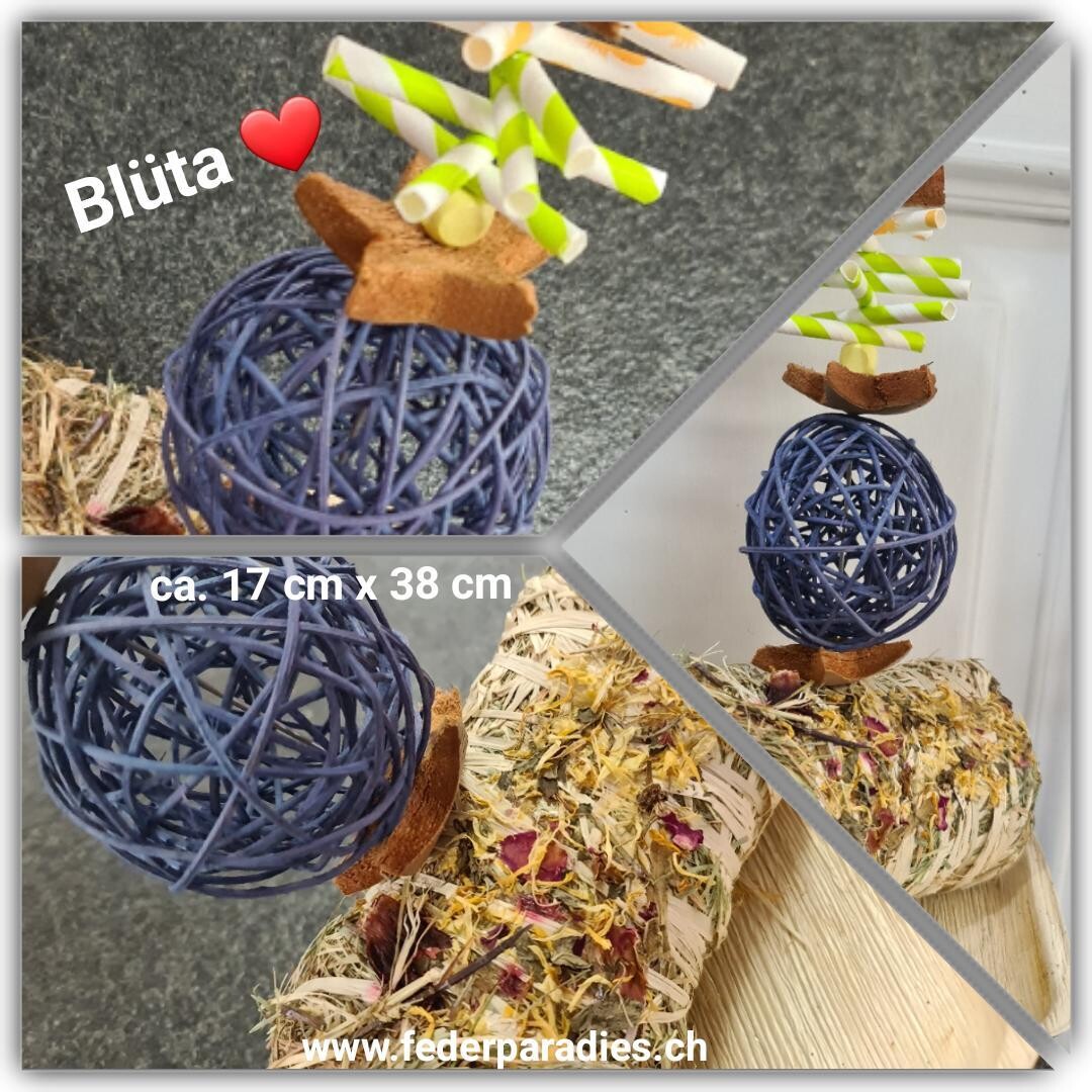 Blüta