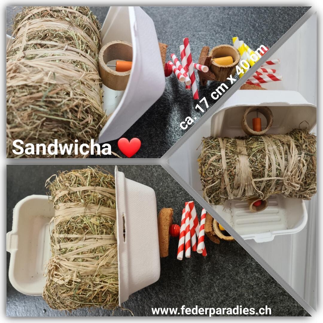 Sandwicha