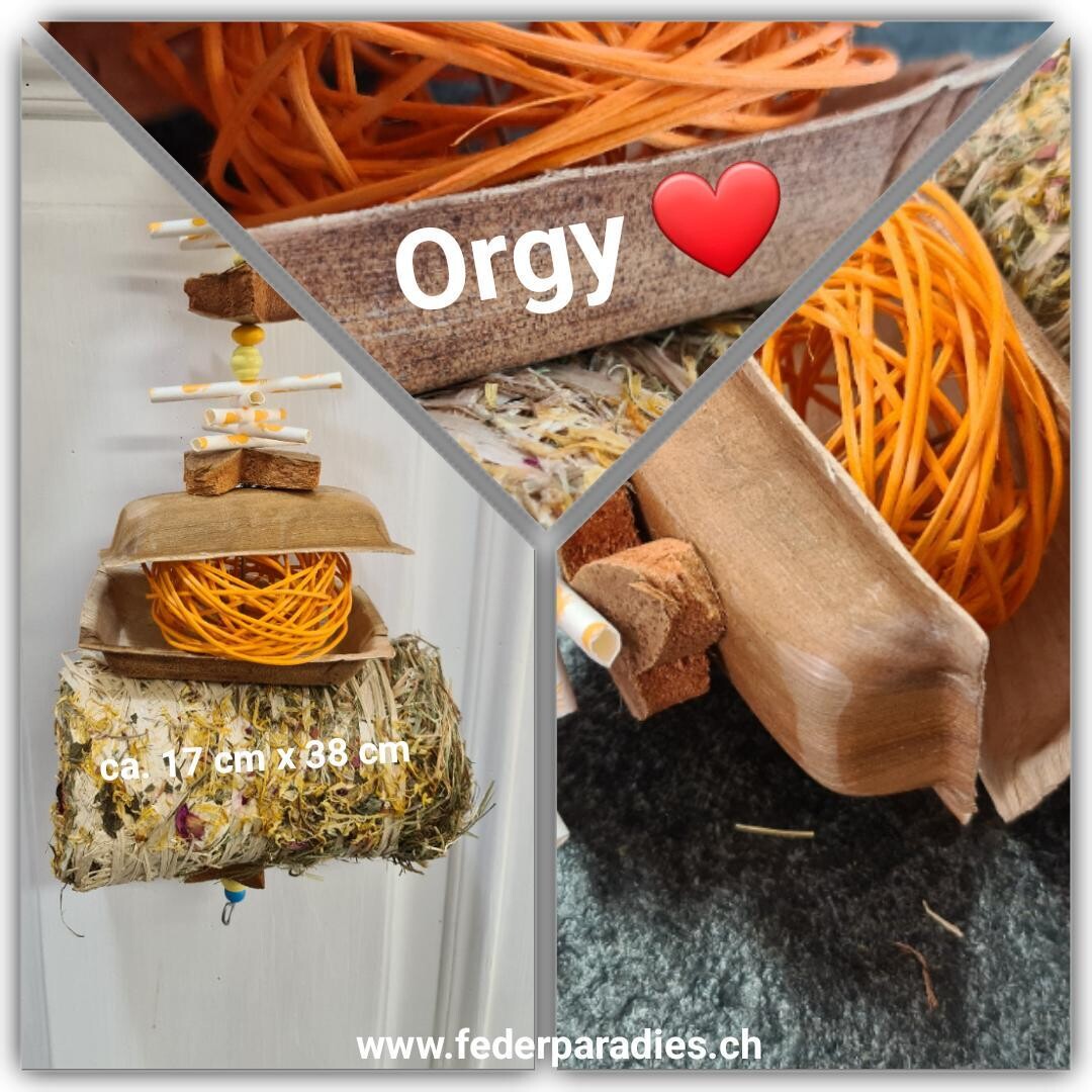 Orgy