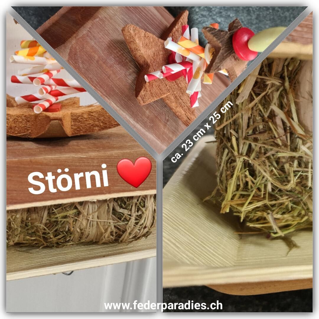 Störni