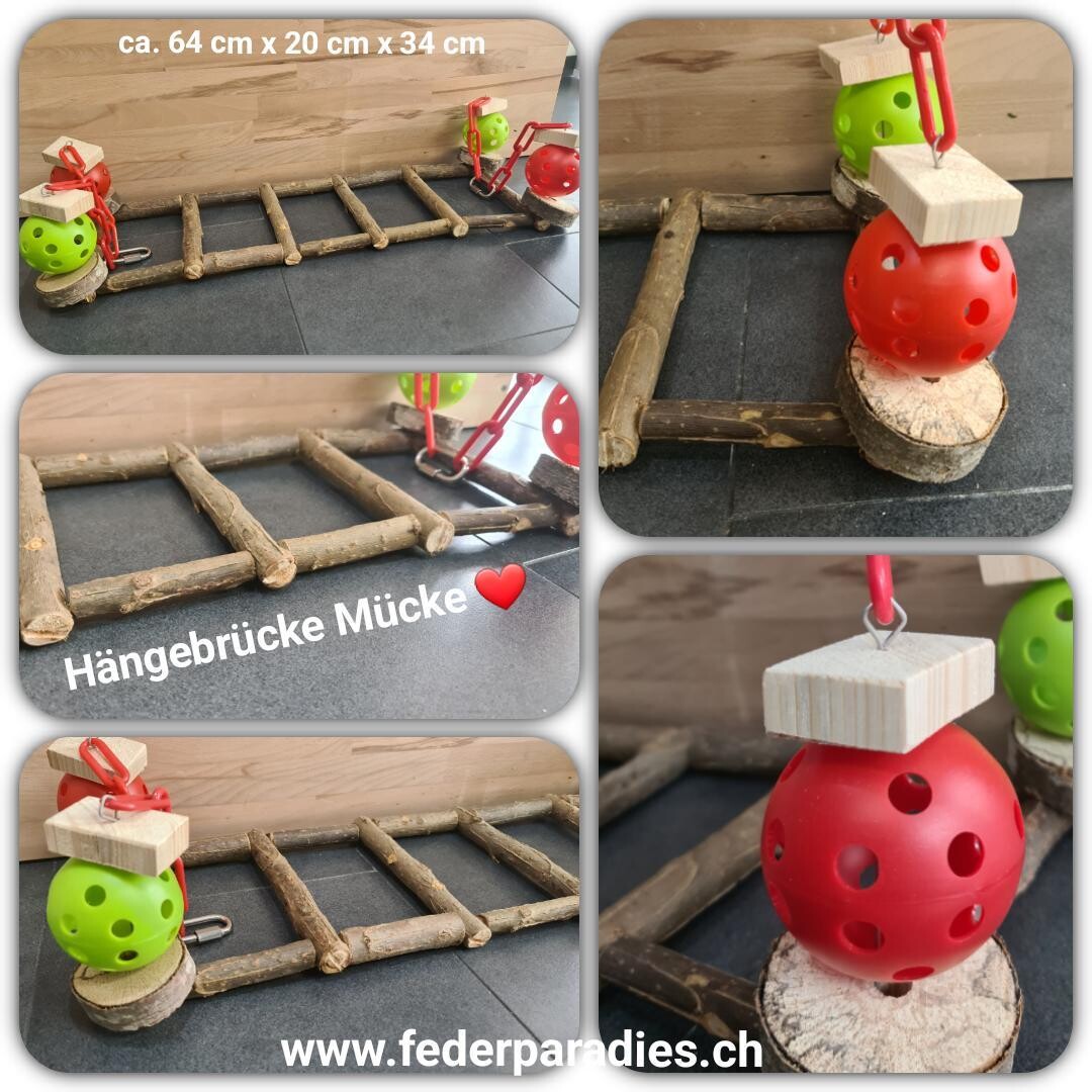 Hängebrücke Mücke