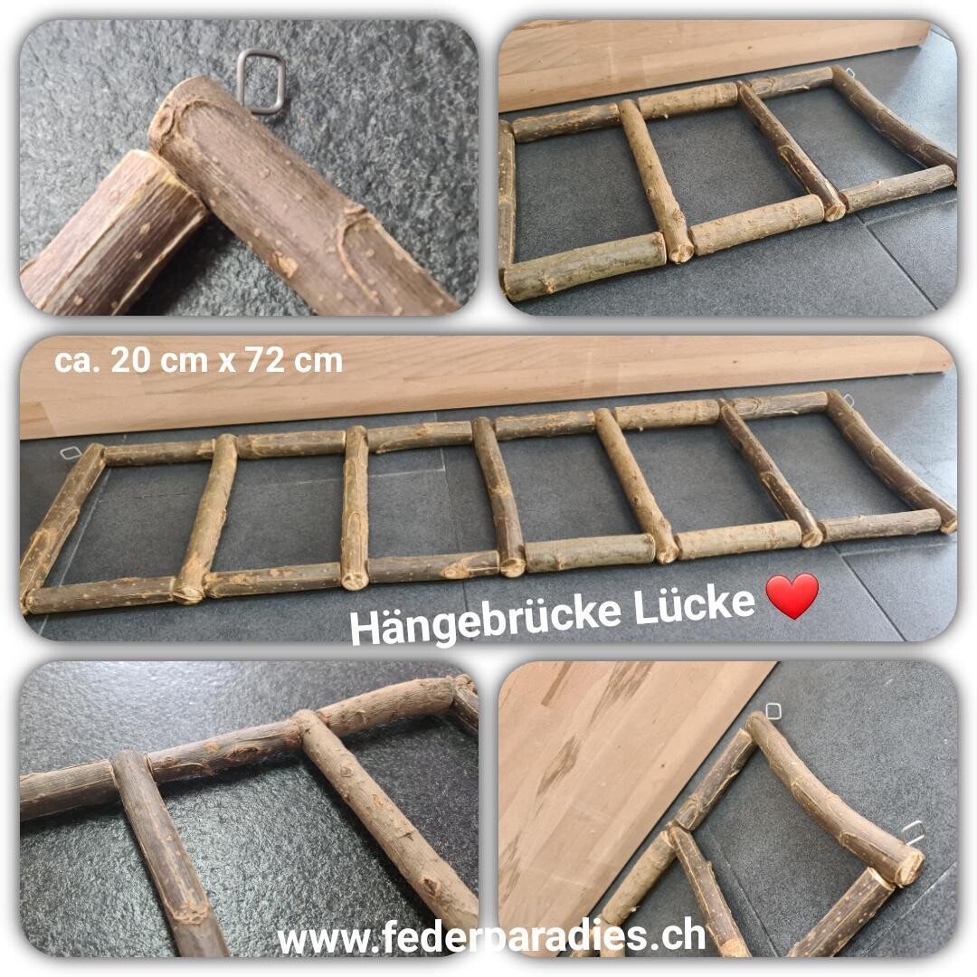 Hängebrücke Lücke