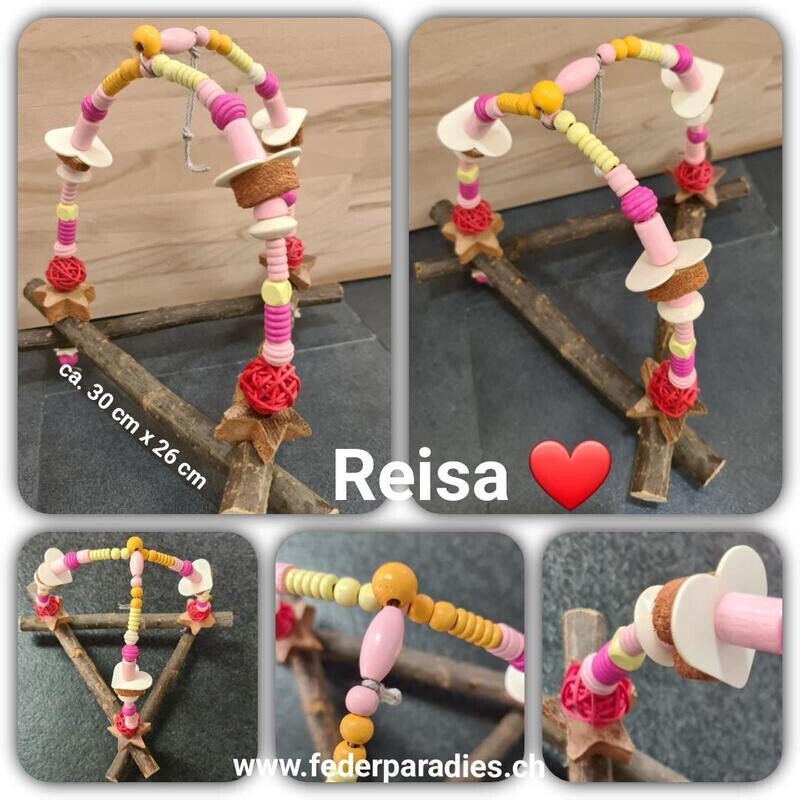 Reisa