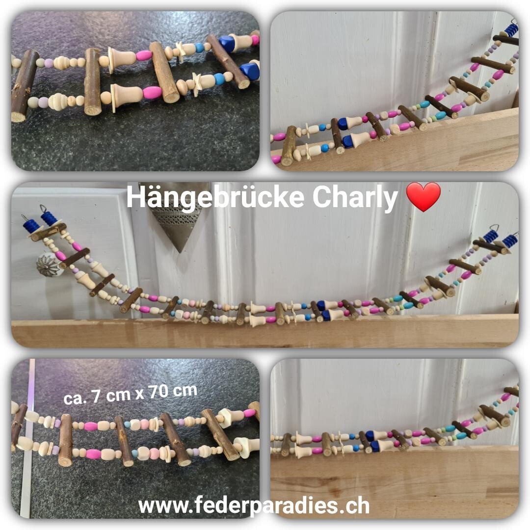 Hängebrücke Charly