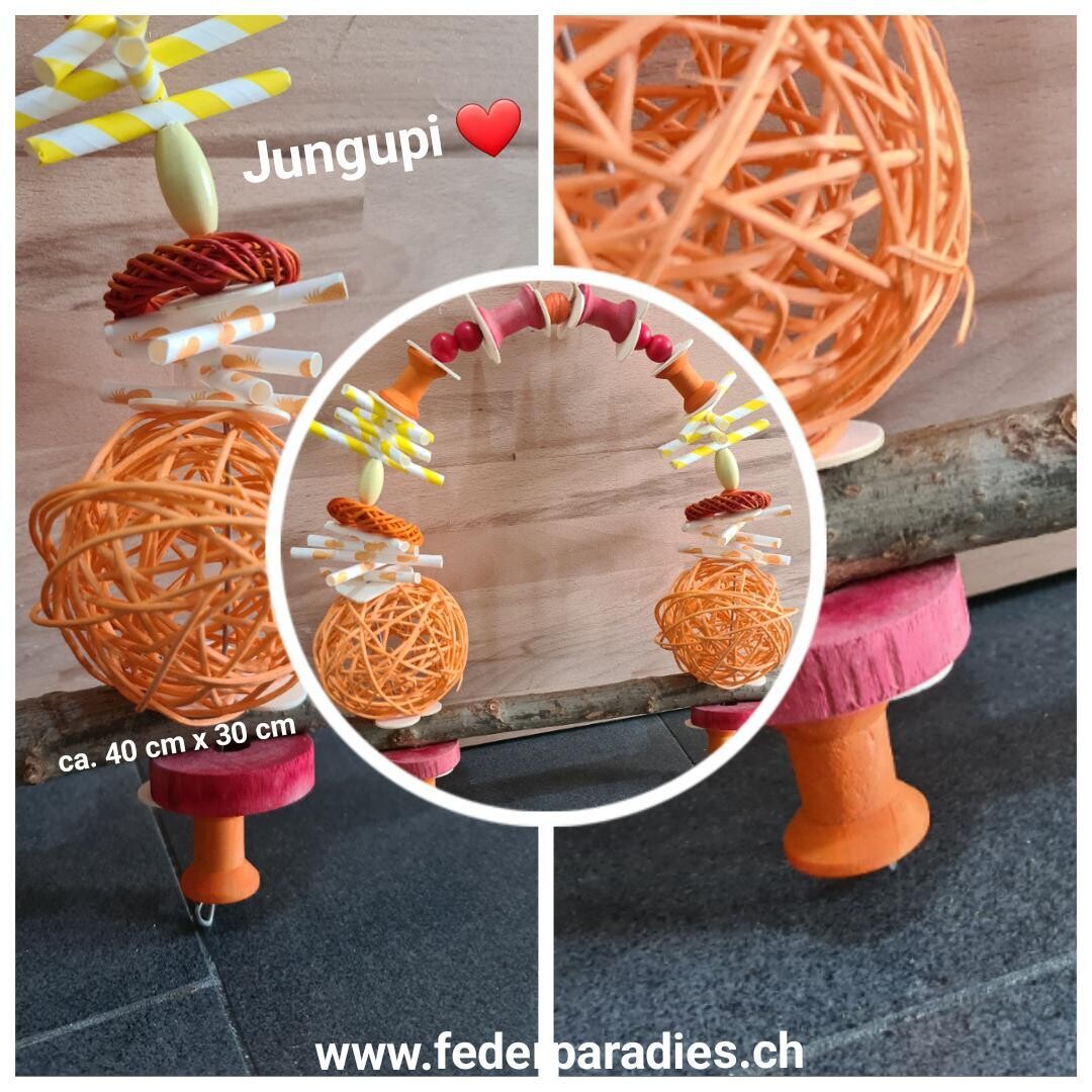 Jungupi
