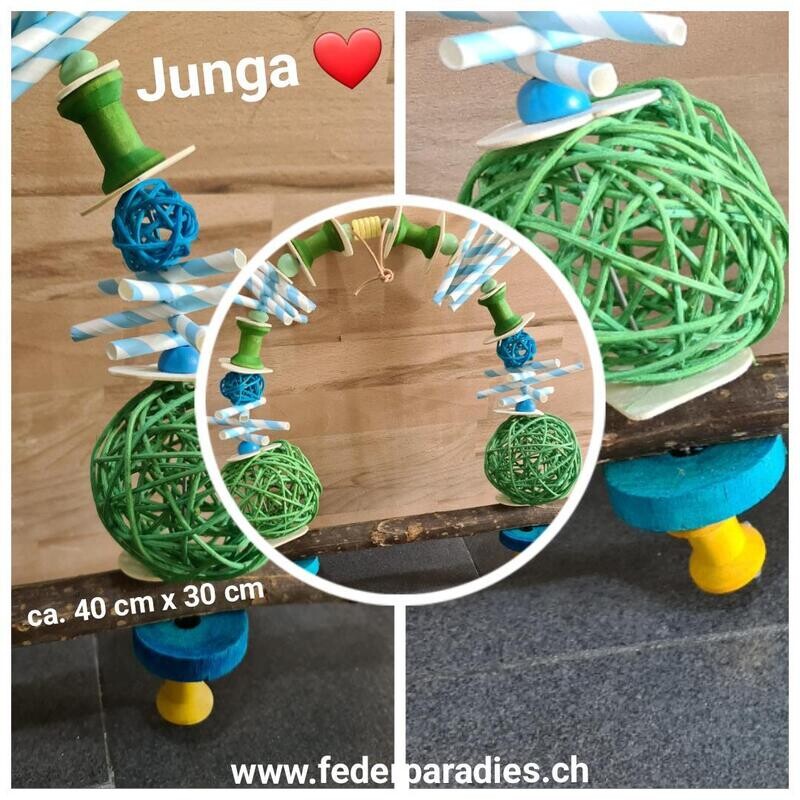 Junga